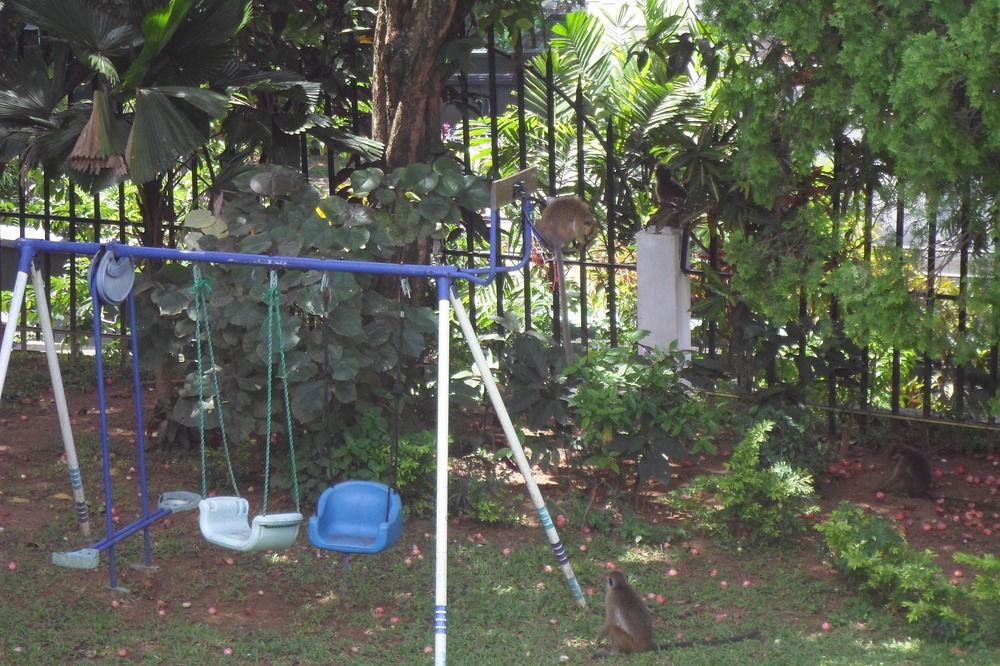 Kandy Green View Bungalow エクステリア 写真